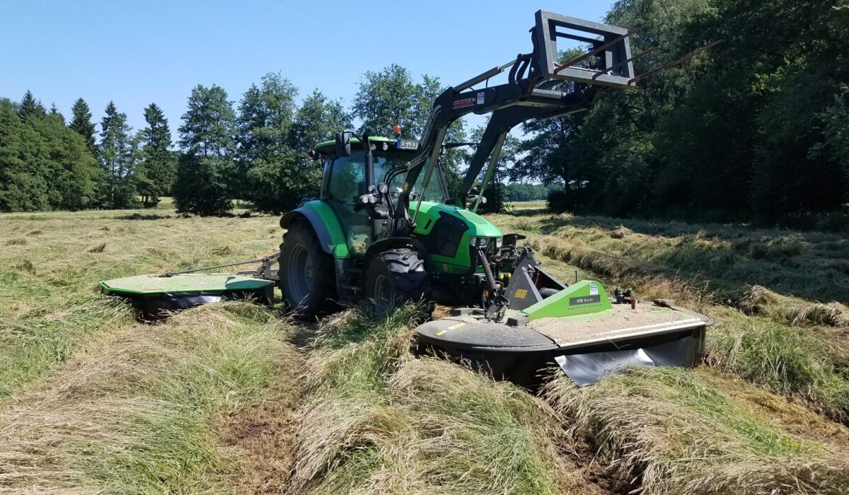 Immo mäht Gras für Futter Immo mäht Gras für Futter